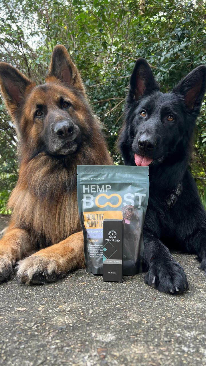 Hemp Boost Dog Treats