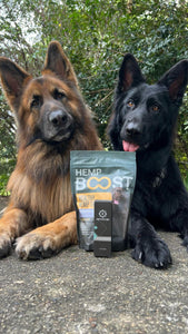 Hemp Boost Dog Treats